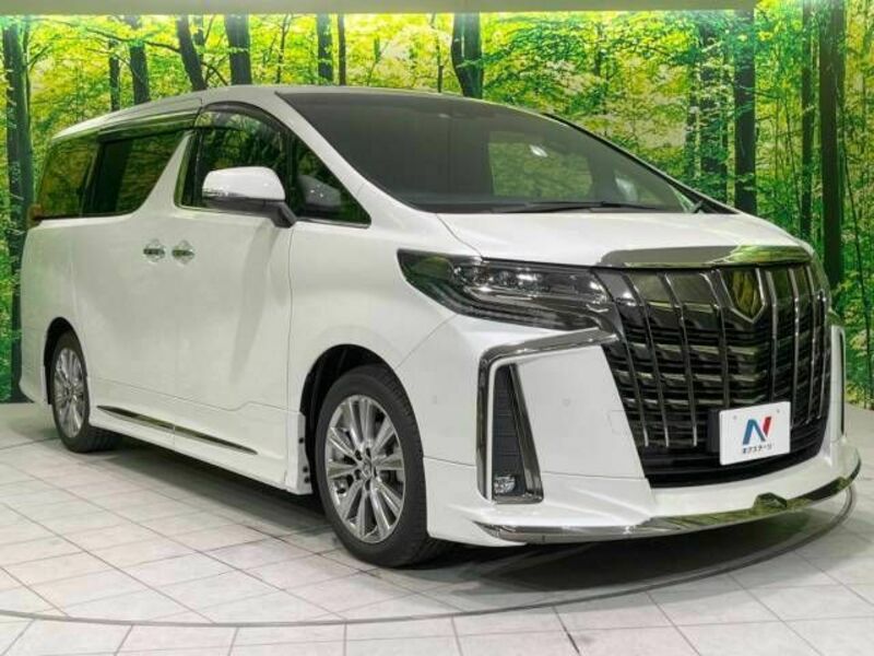 ALPHARD-17