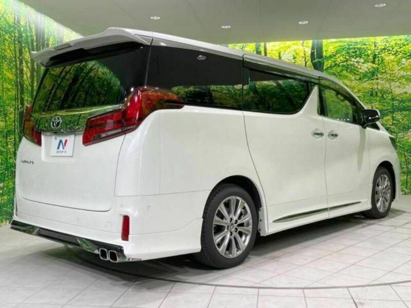 ALPHARD-18