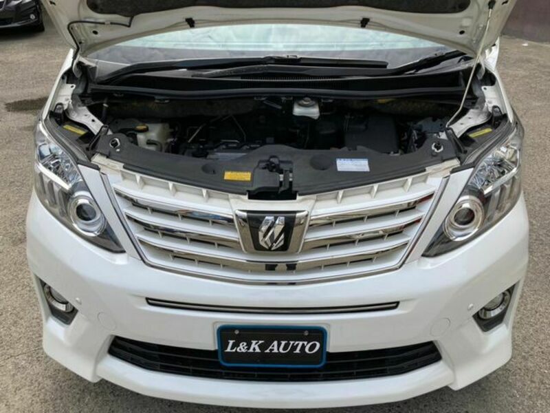 ALPHARD-10