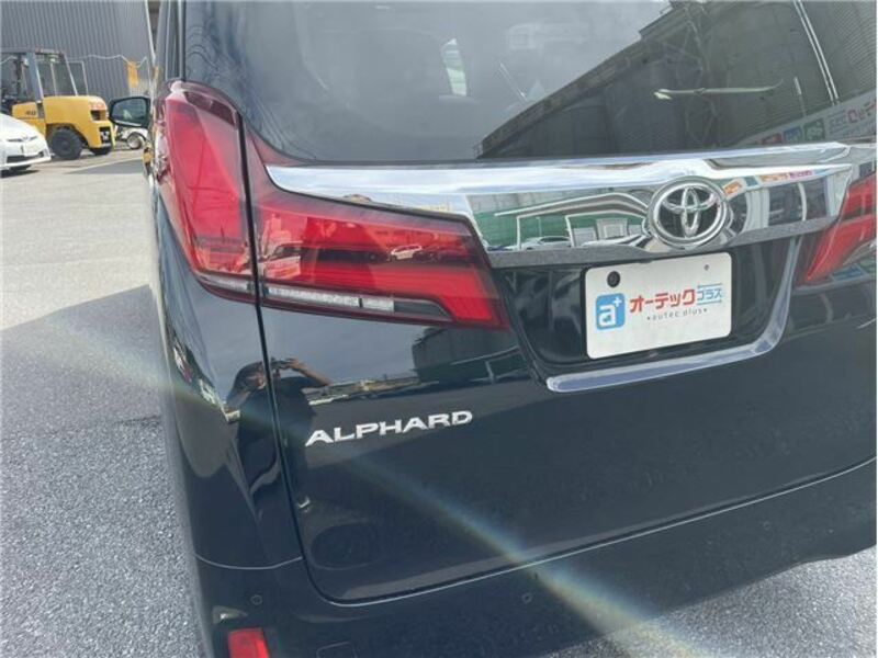 ALPHARD-10