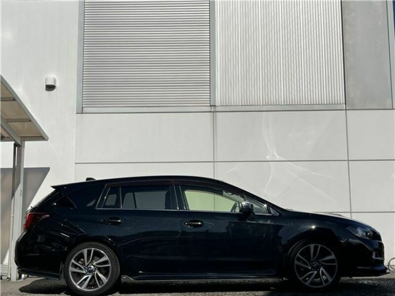 LEVORG-10