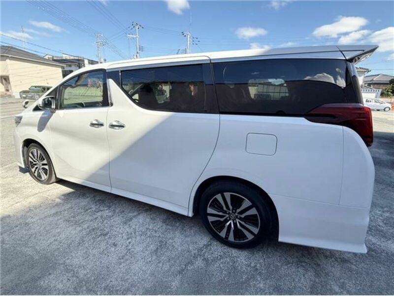 ALPHARD-19