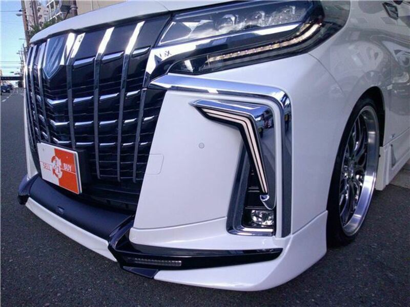 ALPHARD-46