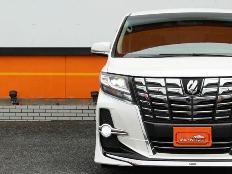 ALPHARD-10