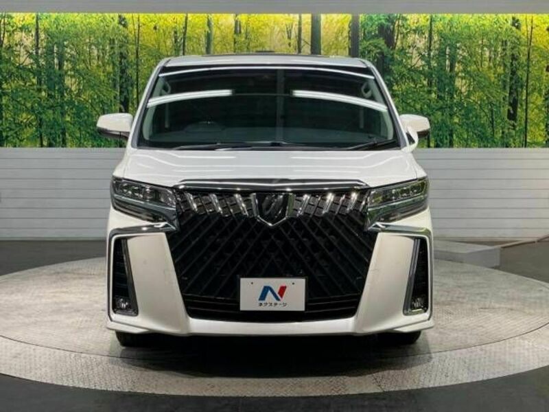 ALPHARD-14