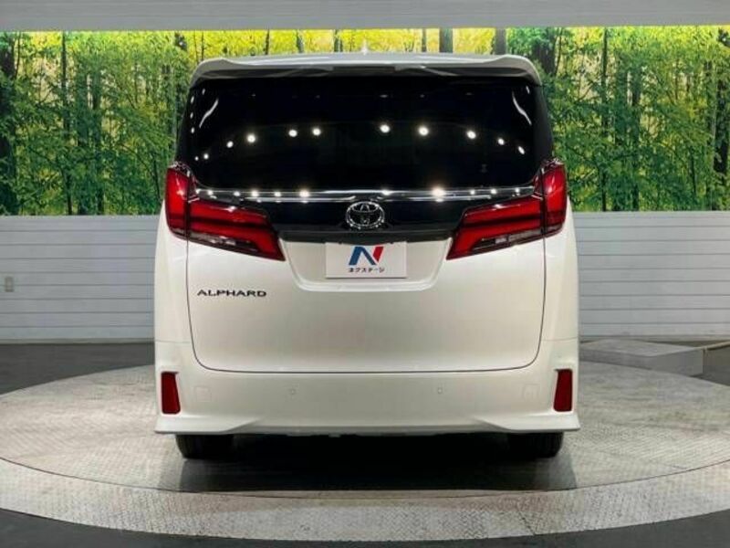 ALPHARD-15