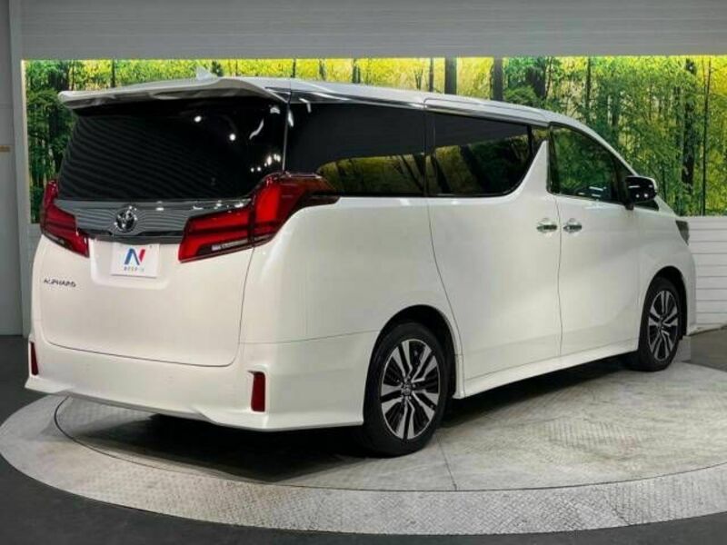 ALPHARD-16