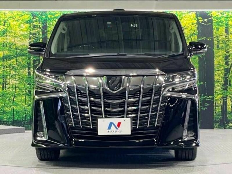 ALPHARD-14