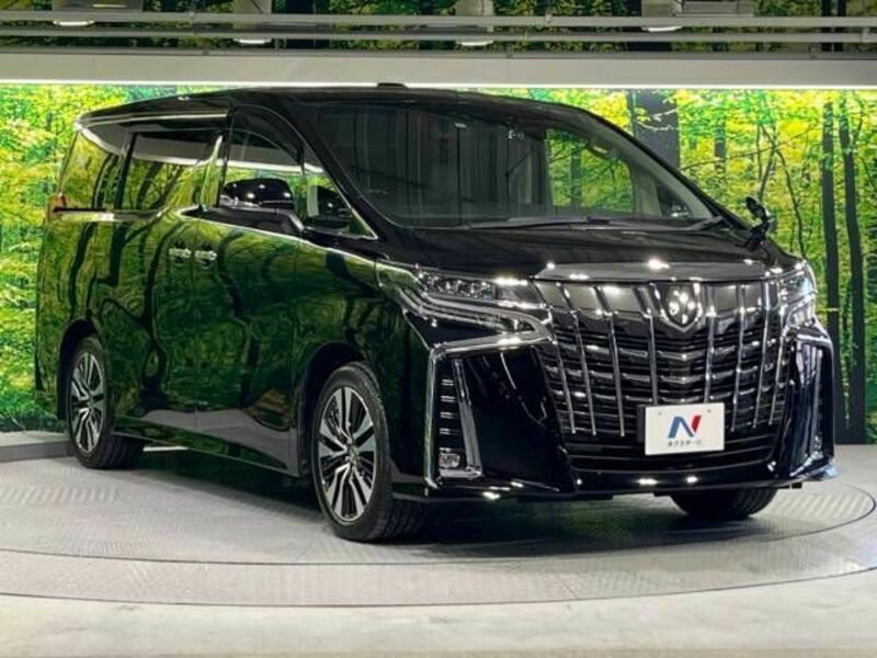 ALPHARD-16