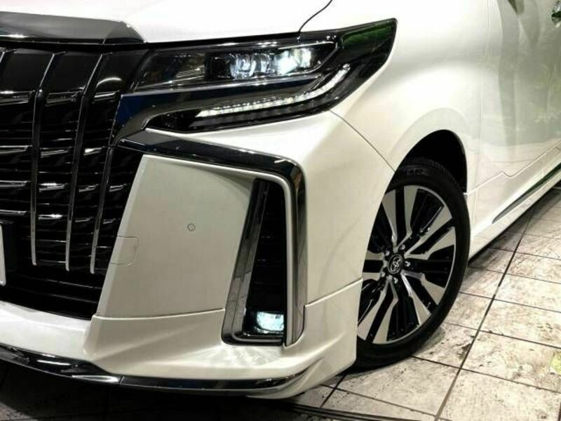 ALPHARD-13