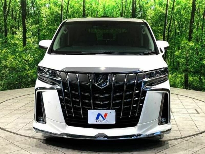 ALPHARD-19