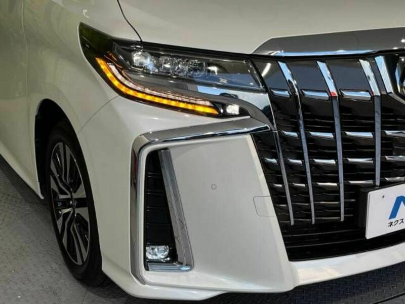 ALPHARD-13