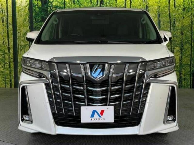 ALPHARD-15