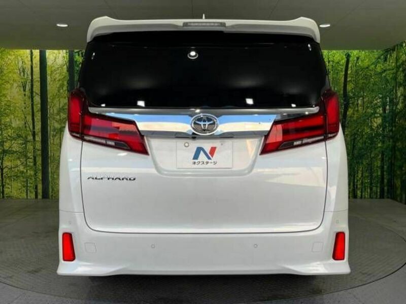 ALPHARD-16