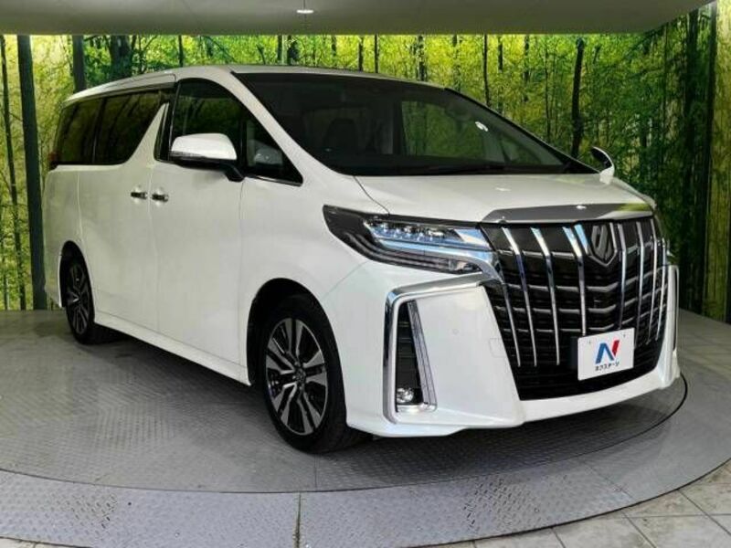 ALPHARD-17