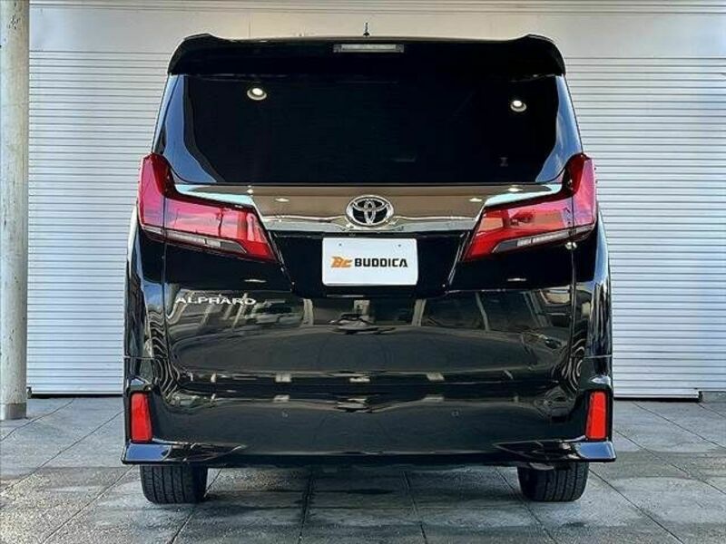 ALPHARD-13