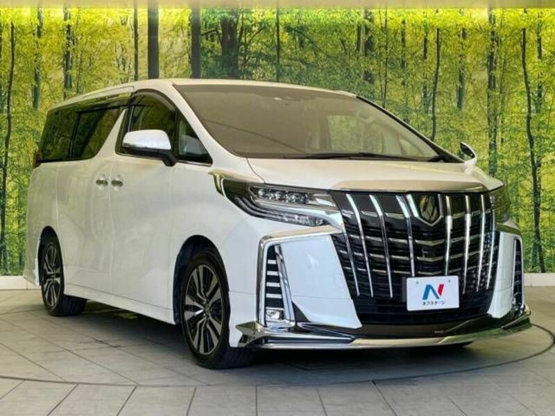 ALPHARD-16