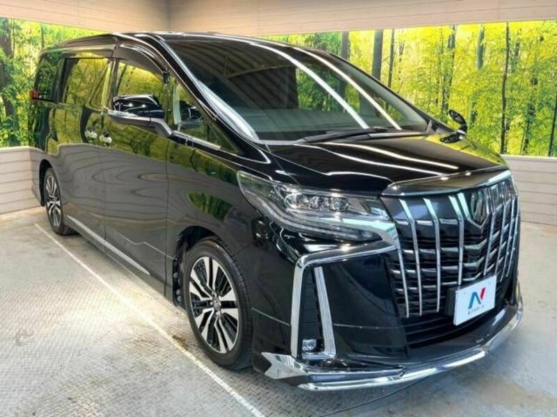 ALPHARD-17