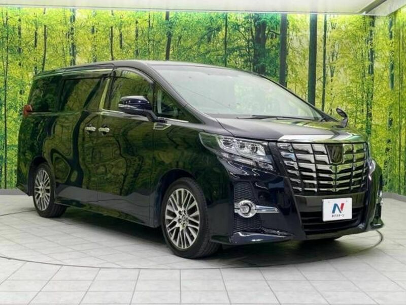 ALPHARD-17