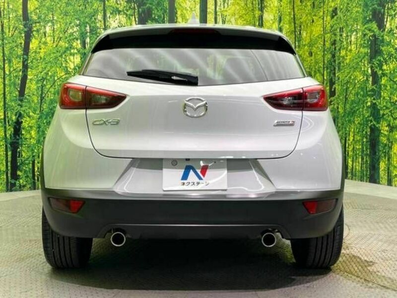 CX-3-15