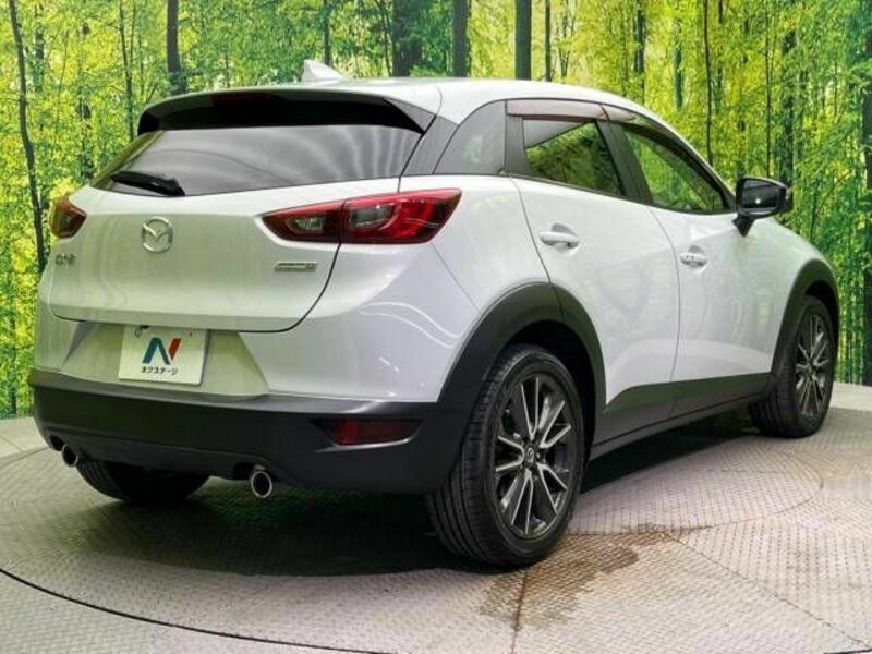 CX-3-17