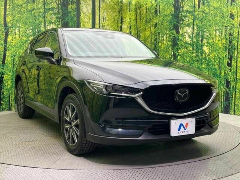 CX-5-16