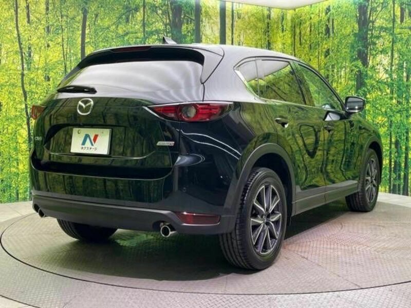 CX-5-17