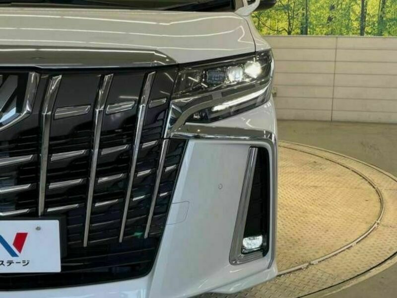 ALPHARD-12