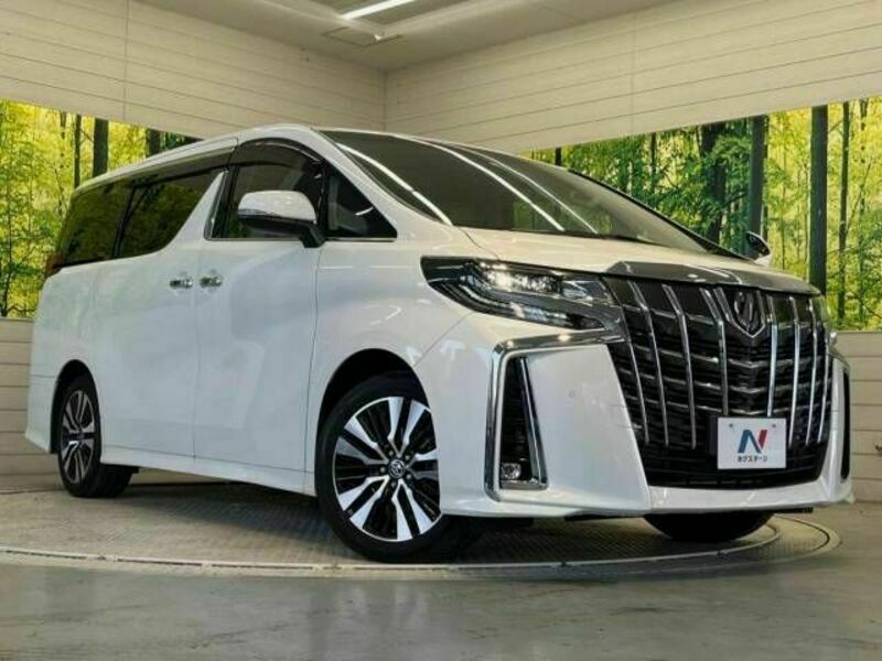 ALPHARD-16