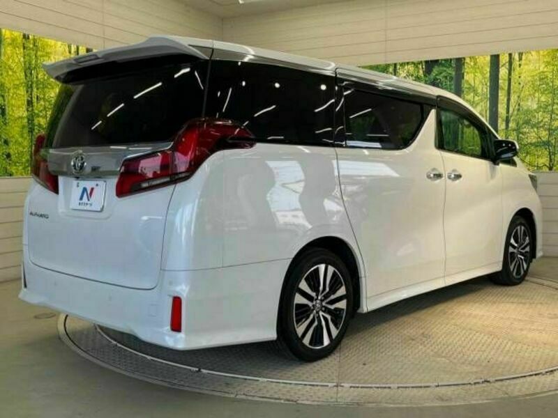 ALPHARD-17