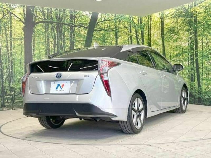 PRIUS-17