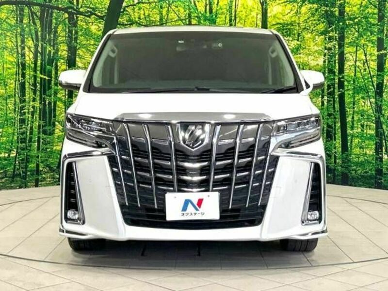 ALPHARD-15