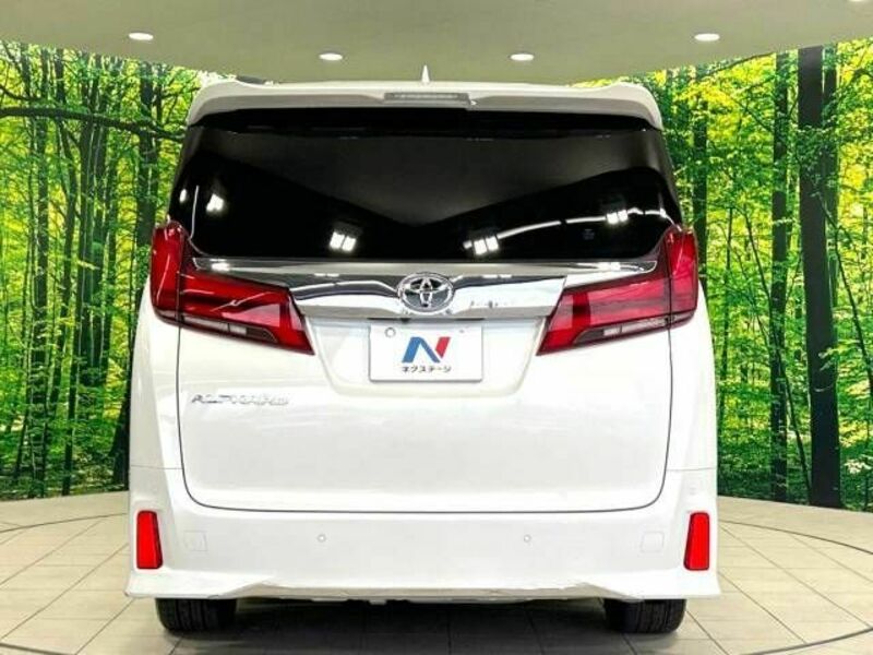 ALPHARD-16