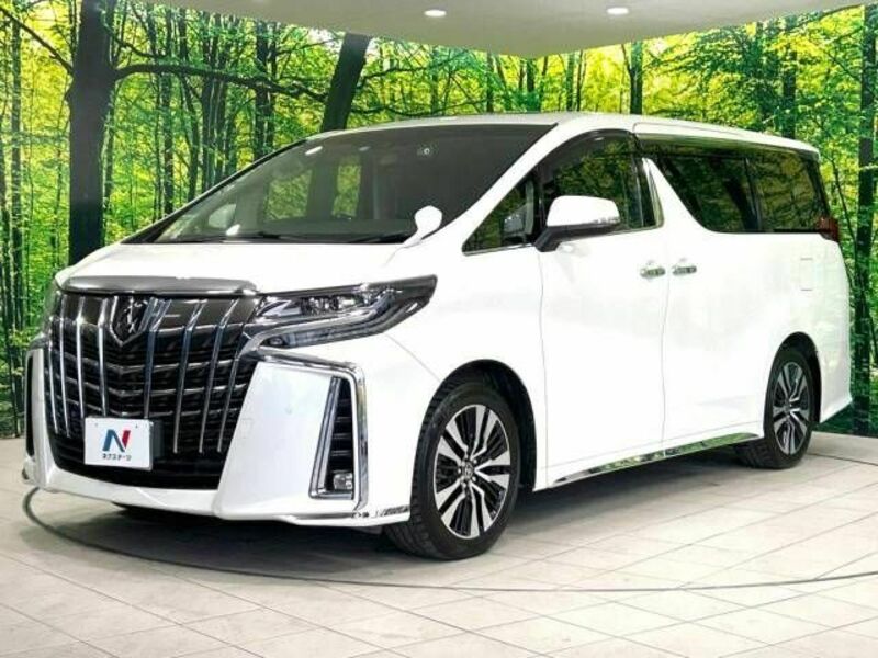 ALPHARD-17