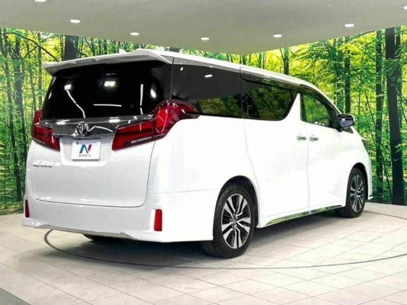 ALPHARD-18