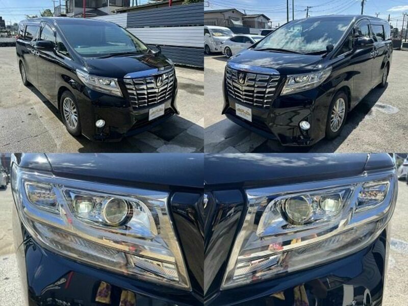 ALPHARD-1