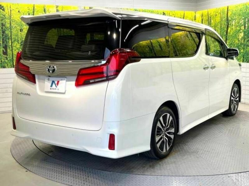 ALPHARD-18