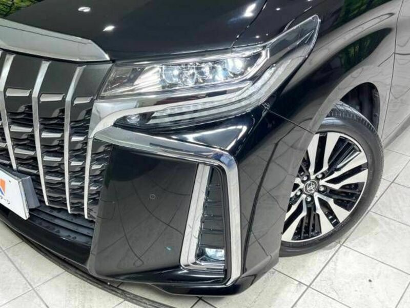 ALPHARD-13