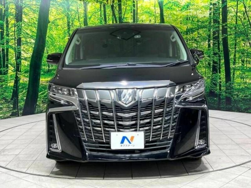 ALPHARD-15