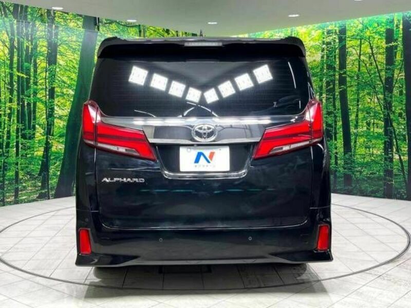 ALPHARD-16