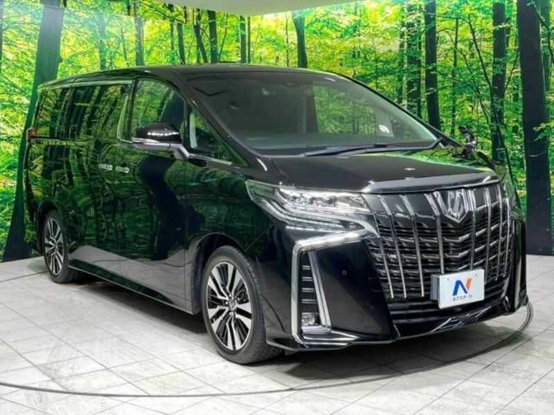 ALPHARD-17