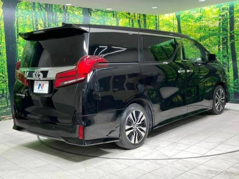 ALPHARD-18