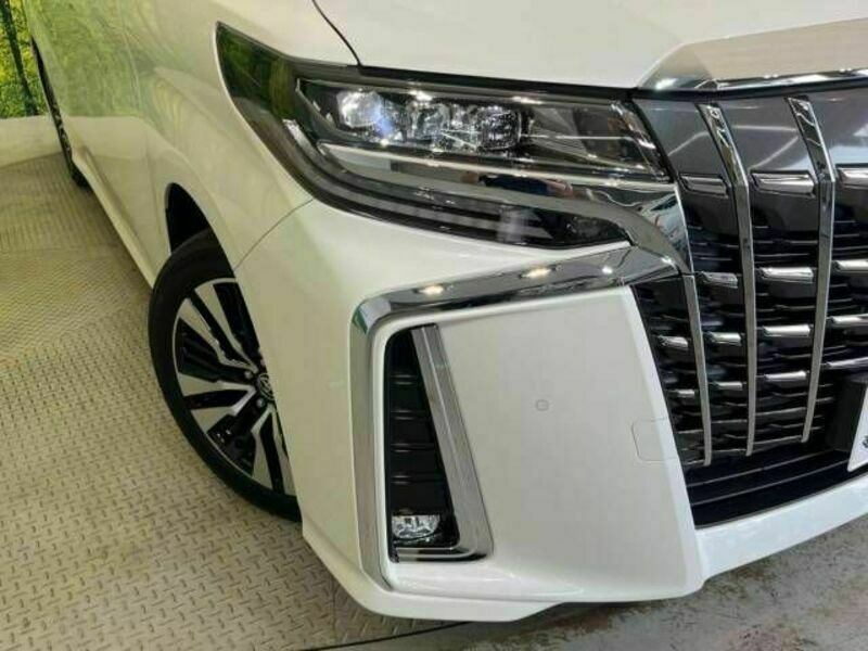 ALPHARD-12