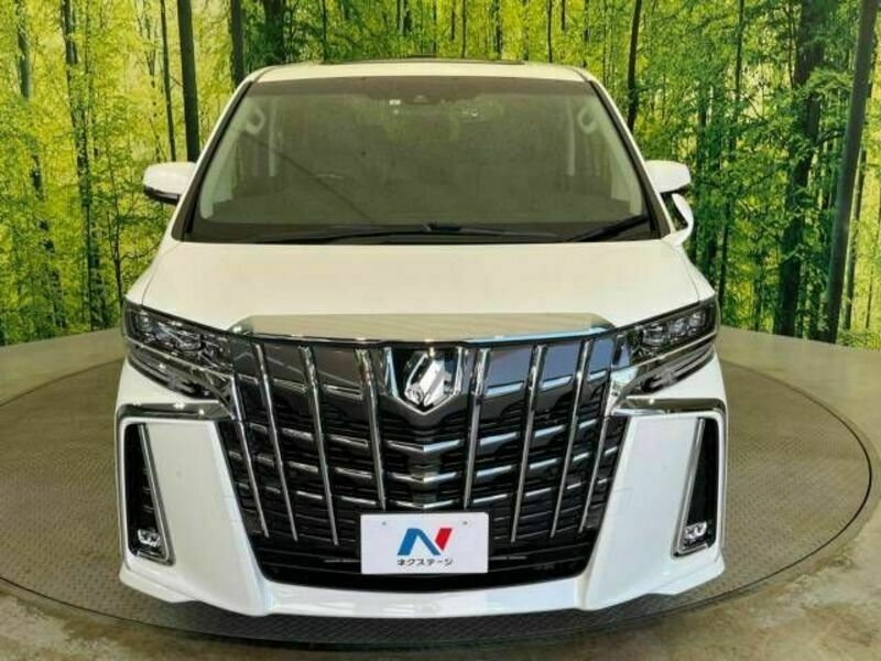 ALPHARD-14