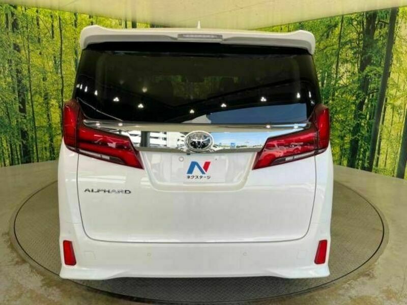 ALPHARD-15