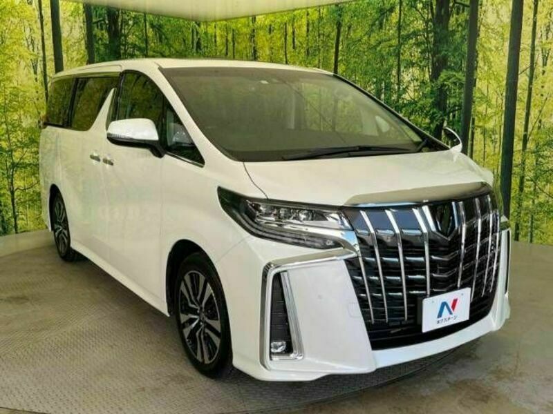 ALPHARD-16