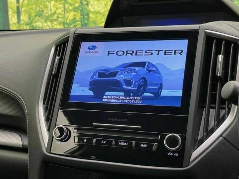 FORESTER-3