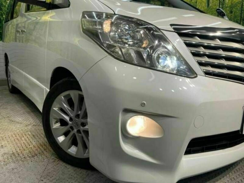 ALPHARD-13