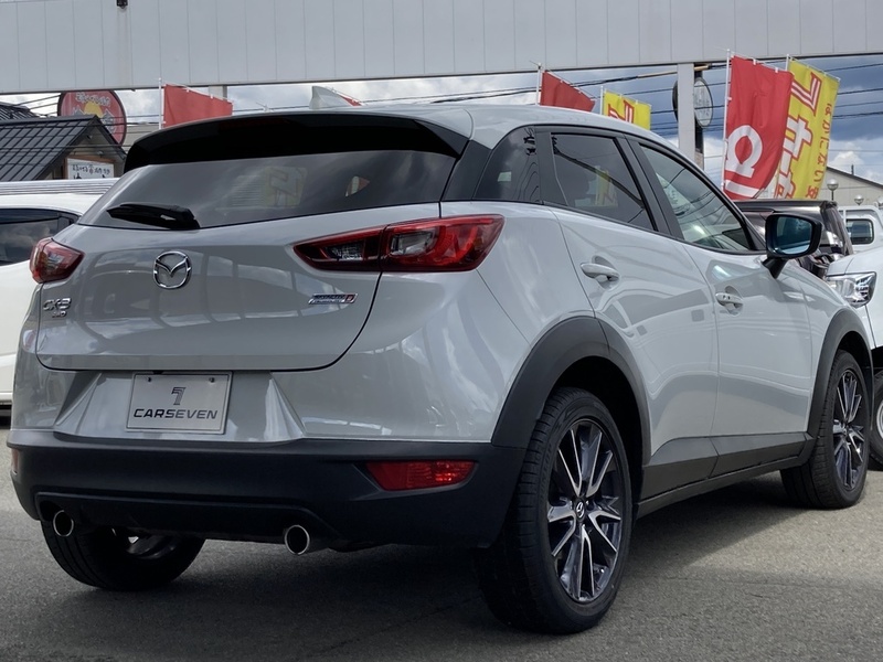 CX-3-6