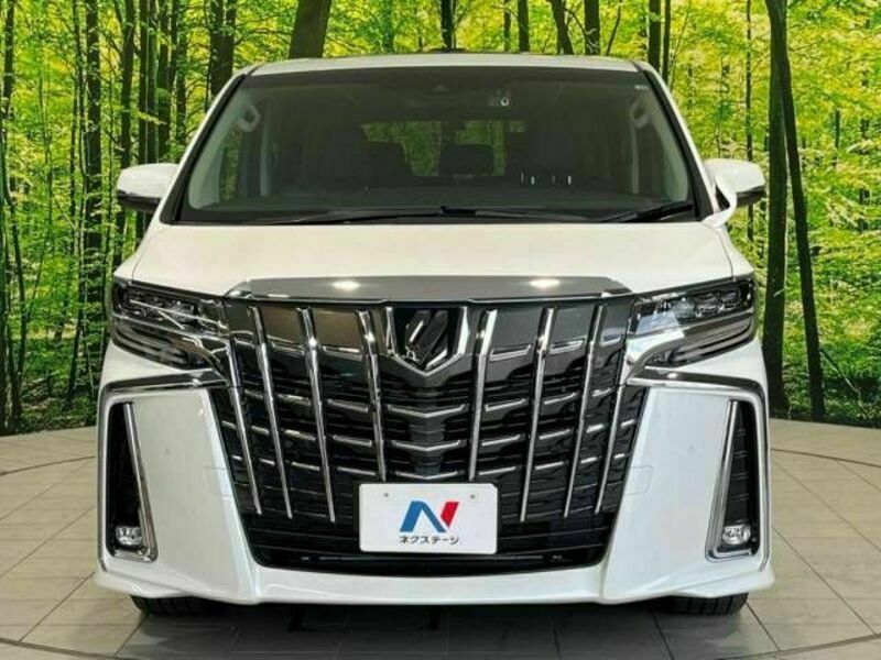 ALPHARD-14